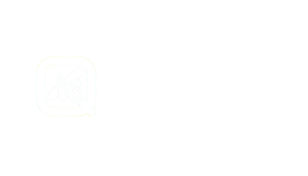 QBEE Business Solutions